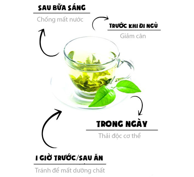 Nên[-]uống[-]trà[-]xanh[-]vào[-]lúc[-]nào?